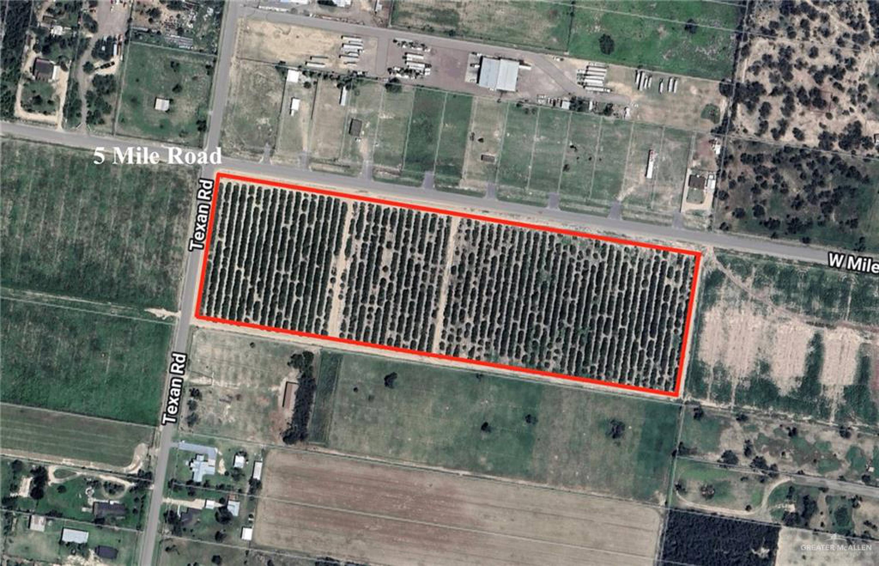 Commercial Property for Sale in  Texas 78572